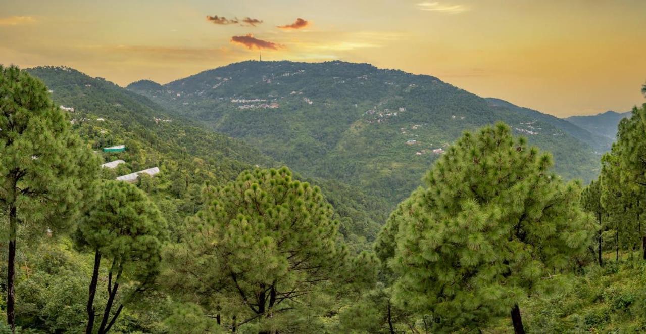 The Western Heights I Serviced Apartments I Pvt Balcony I Lift I Peacefull Area I Family Accomodation I Kasauli I By Exotic Stays Εξωτερικό φωτογραφία