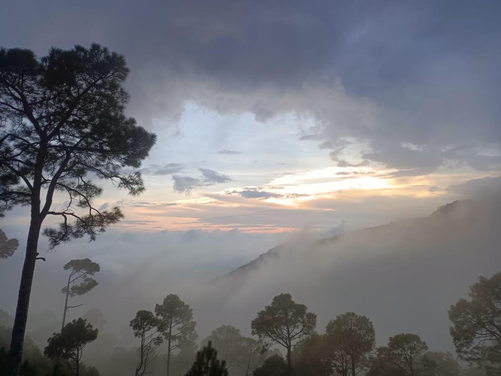 The Western Heights I Serviced Apartments I Pvt Balcony I Lift I Peacefull Area I Family Accomodation I Kasauli I By Exotic Stays Εξωτερικό φωτογραφία